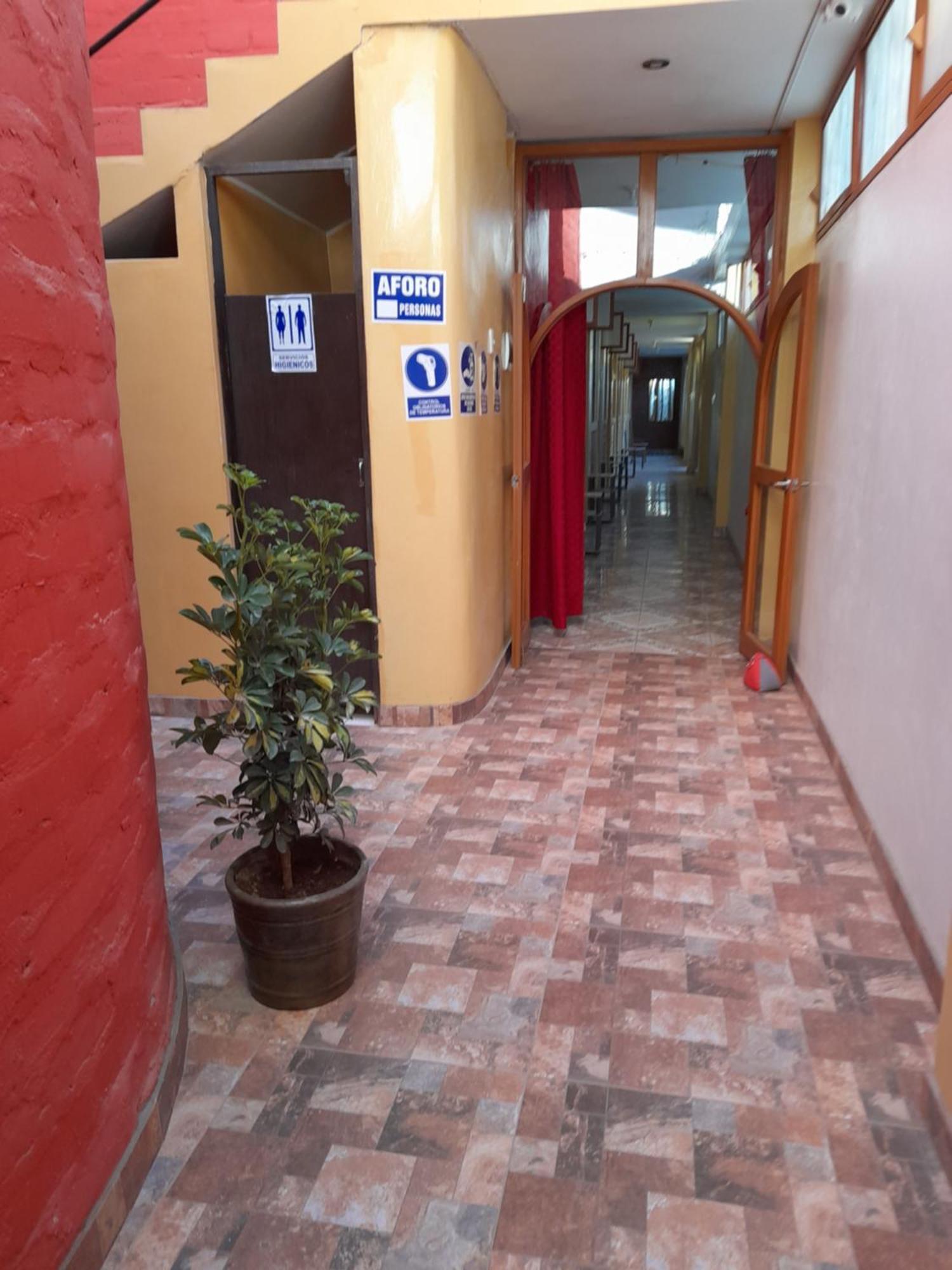Nasca Trails B&B Nazca Zewnętrze zdjęcie