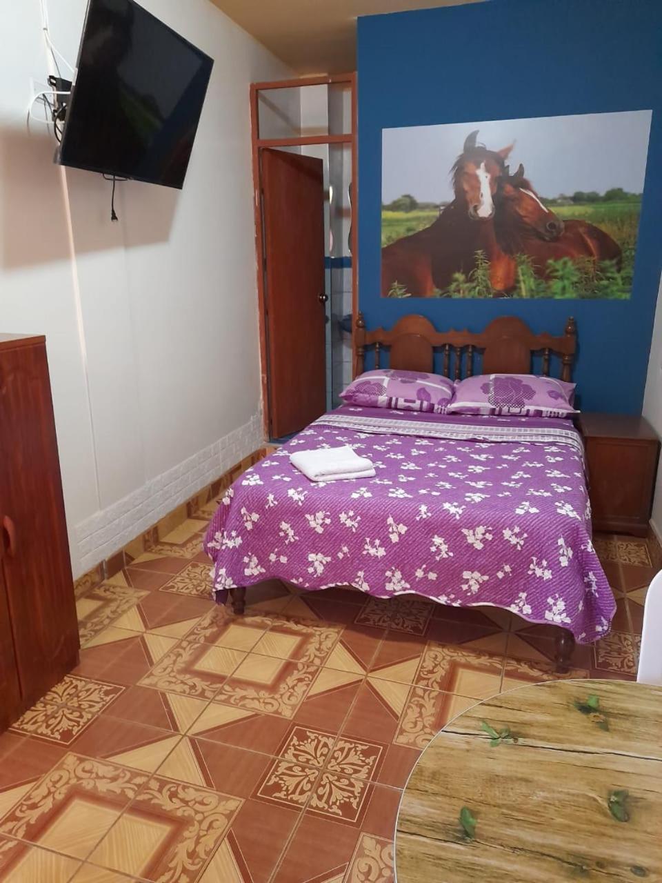 Nasca Trails B&B Nazca Zewnętrze zdjęcie